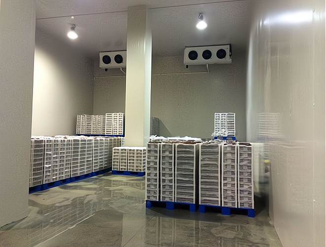 開一個雪糕批發冷庫 專業指導，創業無憂！預包裝食品批發策略