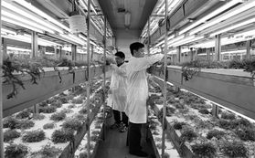 信息技術(shù)與生物技術(shù)雙輪驅(qū)動(dòng)，開(kāi)啟現(xiàn)代農(nóng)業(yè)發(fā)展新篇章